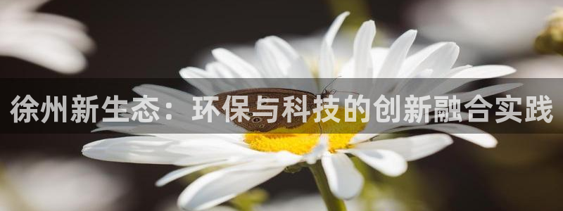 亿万先生合并网址：徐州新生态：环保与科技的创新融合实践