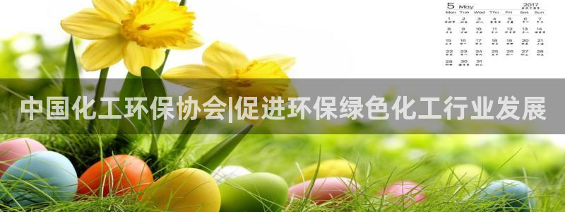 亿万国际app：中国化工环保协会|促进环保绿色化工行业发展