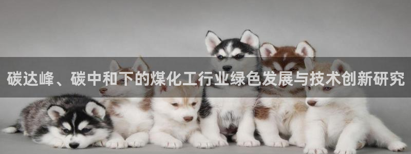 mr07亿万先生：碳达峰、碳中和下的煤化工行业绿色发展与技术创新研究