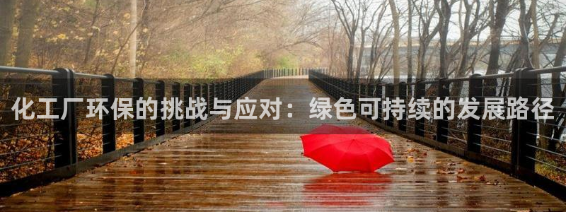 亿万先生网红：化工厂环保的挑战与应对：绿色可持续的发展路径