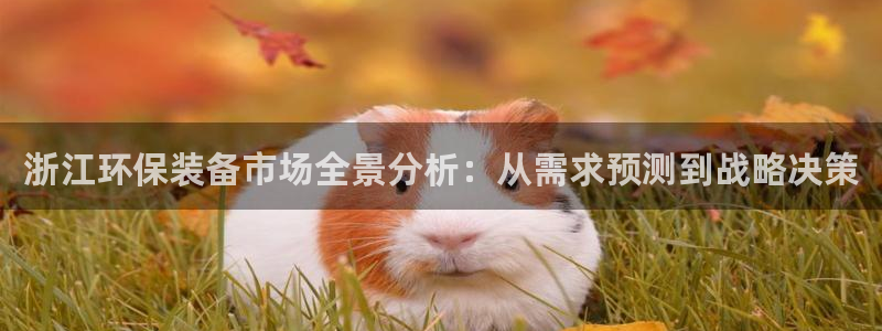 亿万购平台最新消息：浙江环保装备市场全景分析：从需求预测到战略决策