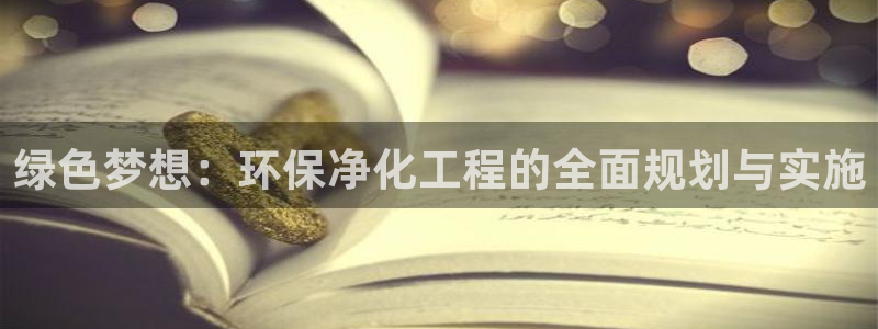 亿万解析：绿色梦想：环保净化工程的全面规划与实施