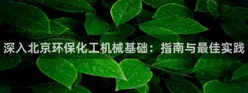 亿万先生手机网：深入北京环保化工机械基础：指南与最佳实践