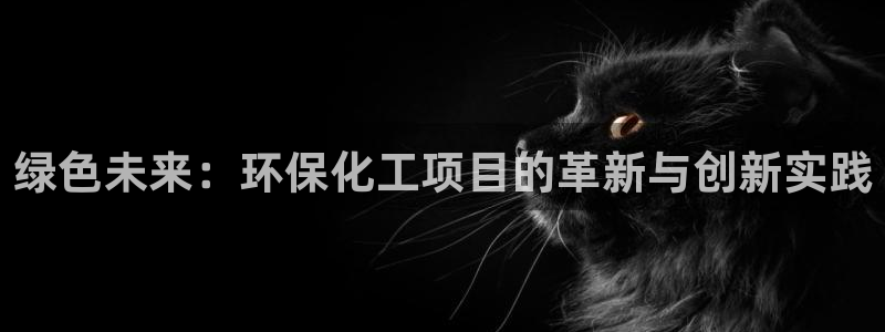 亿万先生换网址了吗：绿色未来：环保化工项目的革新与创新实践