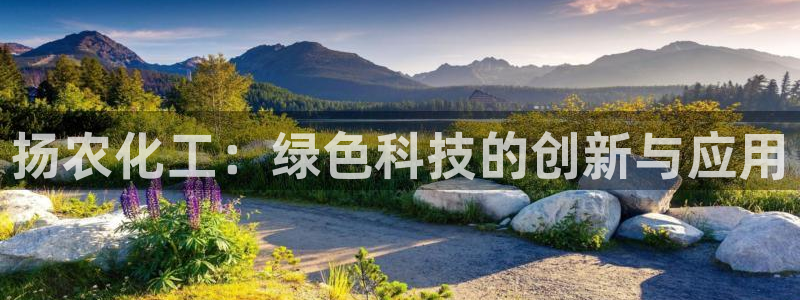 亿万先生情侣车有什么用：扬农化工：绿色科技的创新与应用