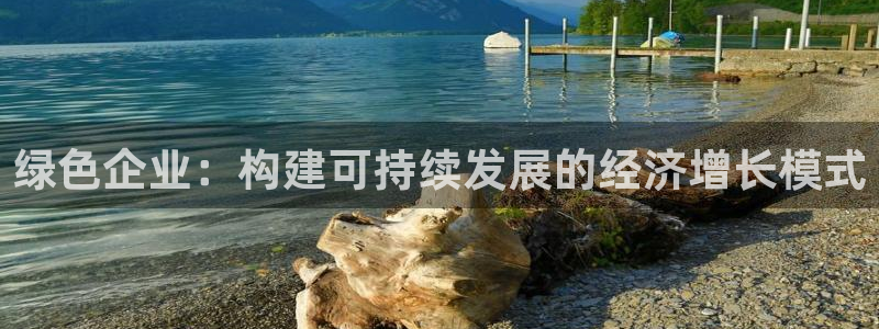 亿万先生手机网页：绿色企业：构建可持续发展的经济增长模式