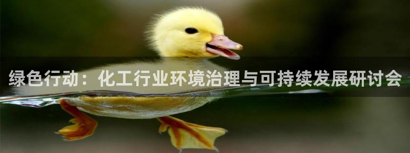 亿万先生官方网站下载：绿色行动：化工行业环境治理与可持续发展研讨会