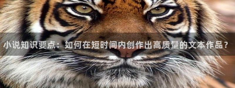 all极话本小说